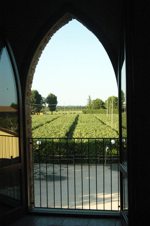 Locanda Merlaschio Фаэнца Номер фото
